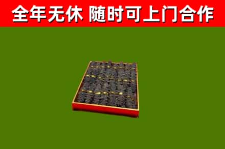 新兴县回收海参